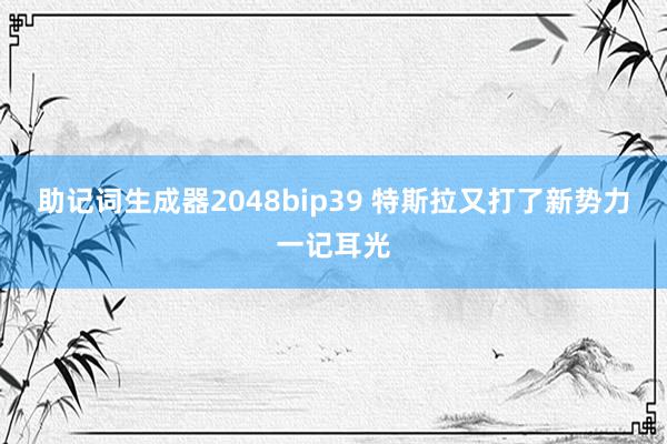 助记词生成器2048bip39 特斯拉又打了新势力一记耳光